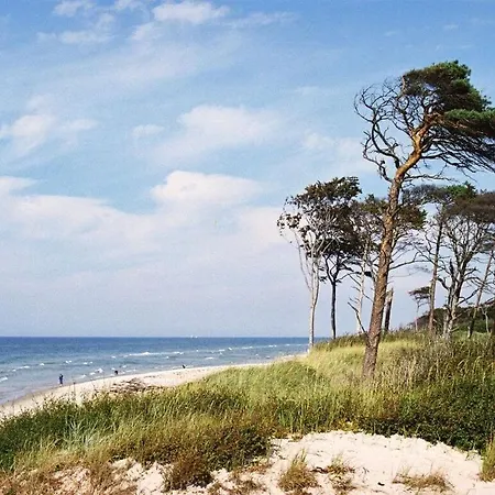 Lovely In Ostseebad Wustrow شقة فاستروم