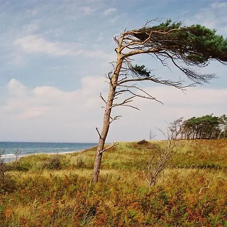 Lovely In Ostseebad Wustrow * فاستروم